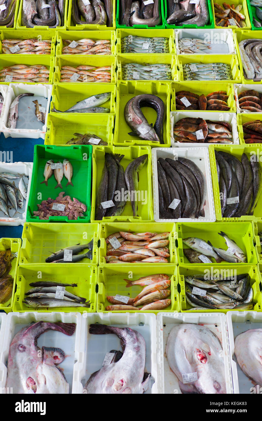 Poisson frais à Confradia de Pescadores de Luarca, Confédération de Luarca, pêcheurs de Puerto Luarca dans les Asturies, Espagne Banque D'Images