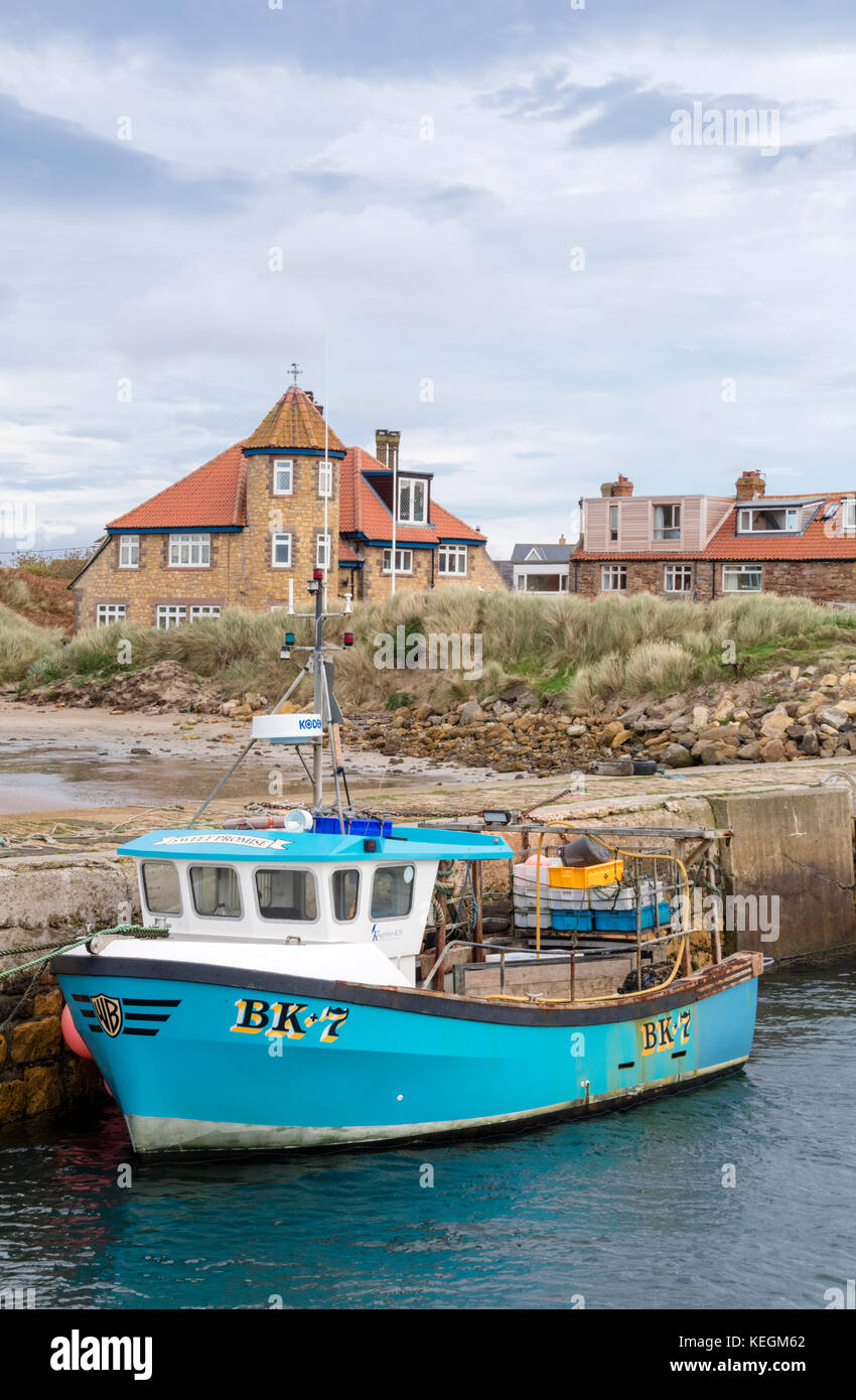 Le port de Northumbrian, Beadnell Northumberland, England, UK Banque D'Images