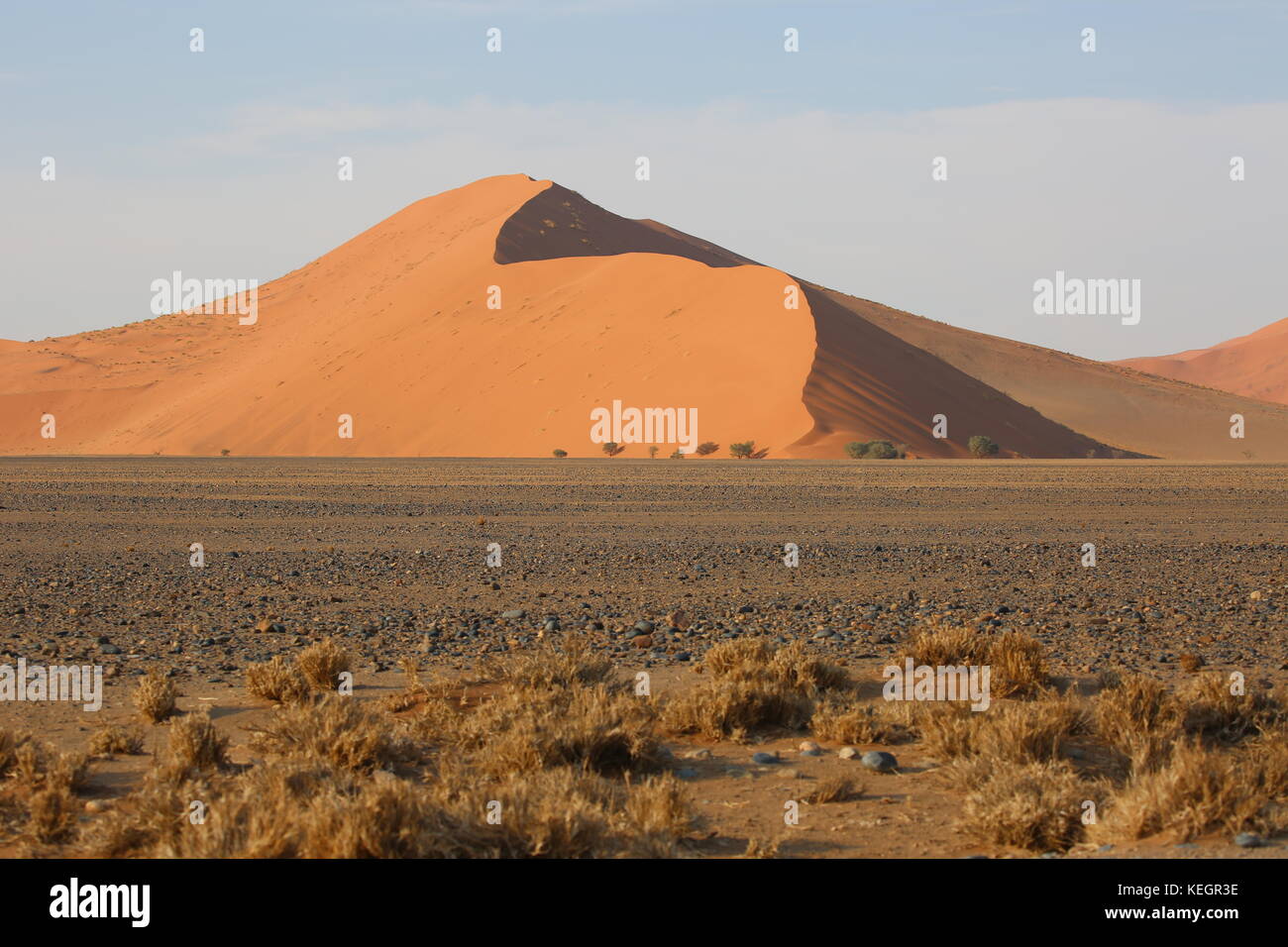 Big Daddy - plus haut dans la zone de dunes de Sossusvlei - Sanddüne Grösste der Welt en Namibie Banque D'Images