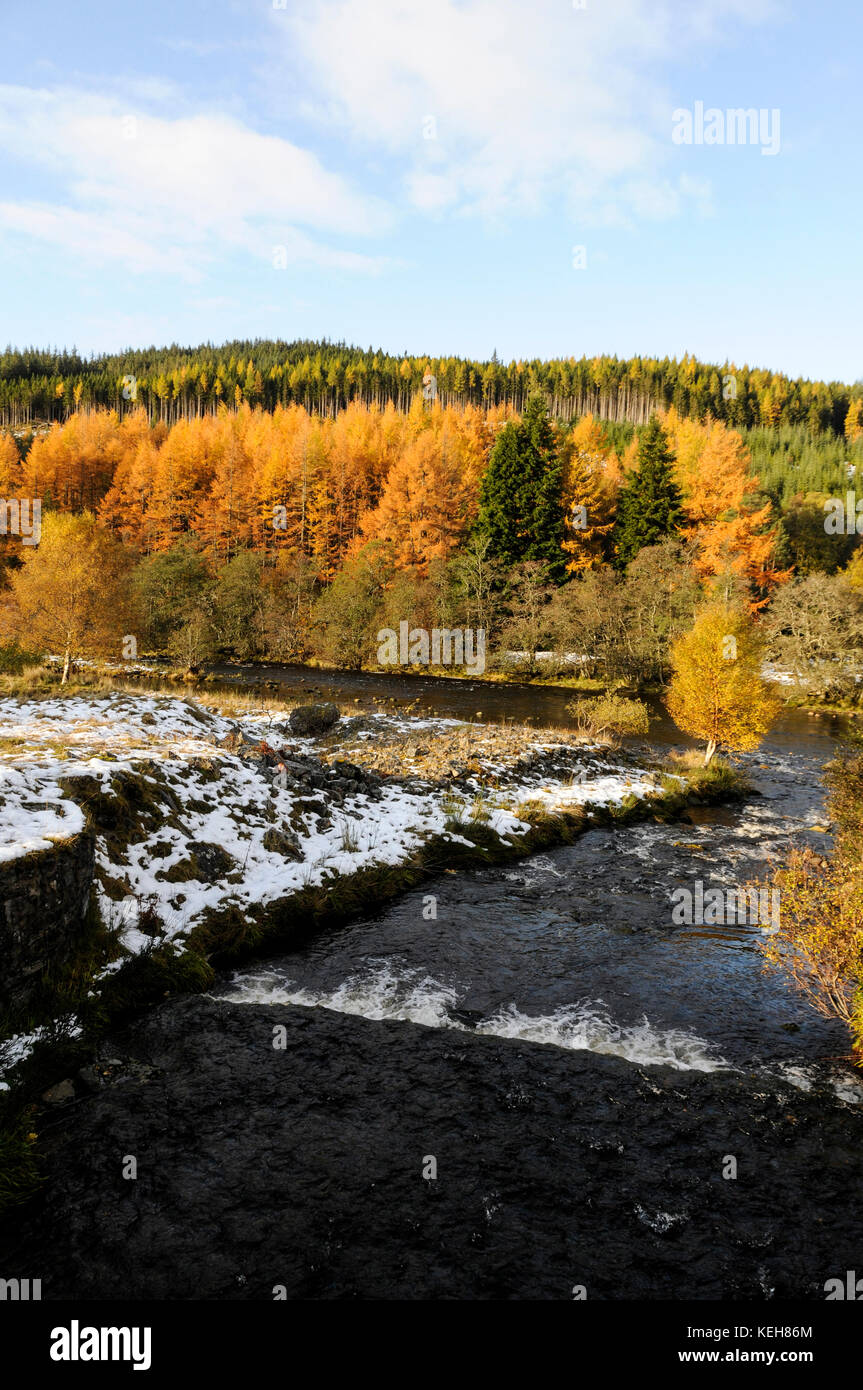 Une combinaison rare de neige et de couleurs d'automne sur les arbres dans les montagnes écossaises près de Garve sur la A385 (route Ullapool/Inverness)., Écosse. Banque D'Images