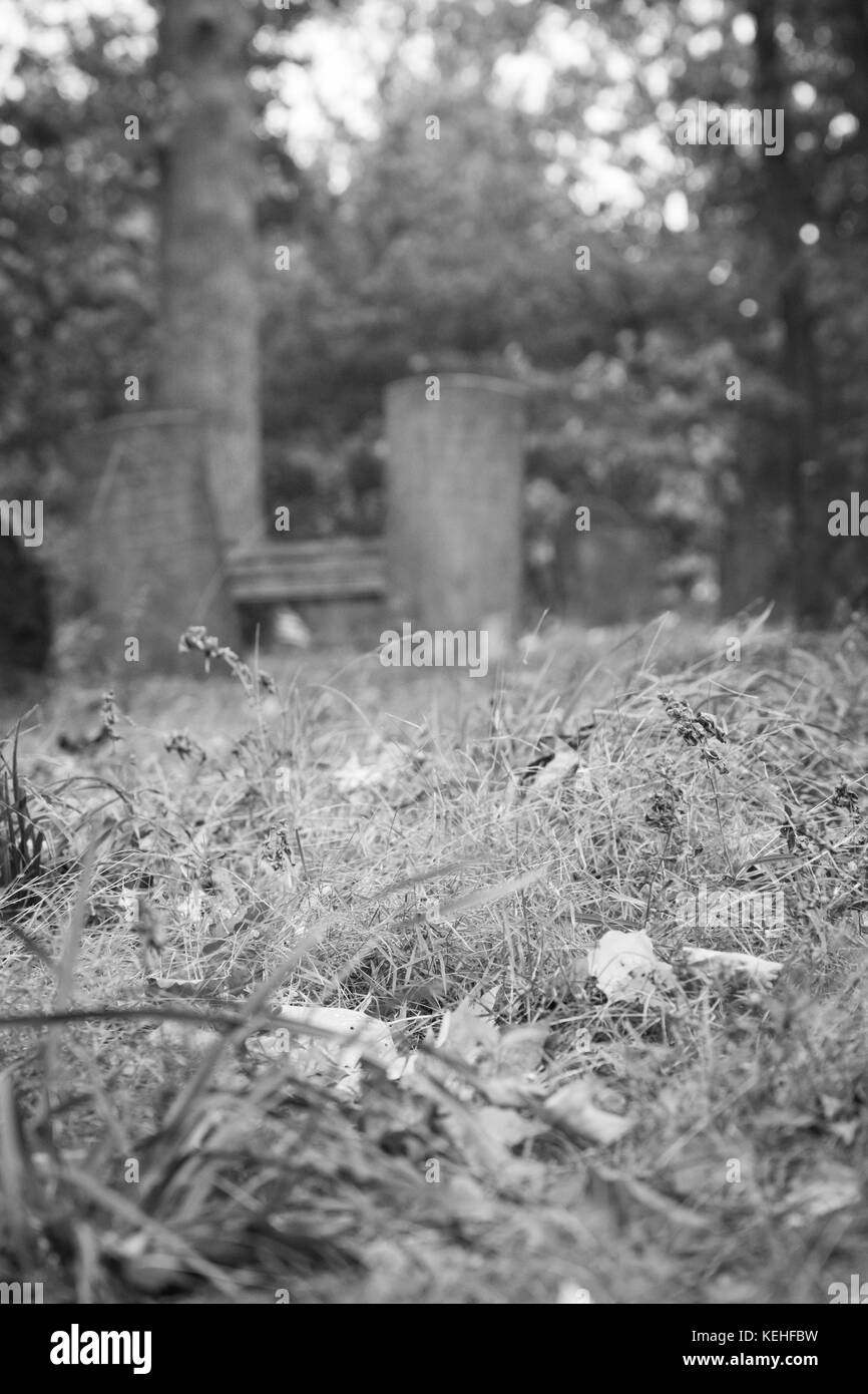 Vieille pierres tombales dans un cimetière colonial à Thousand Oaks, New Jersey. Ce cimetière est antérieur à la guerre révolutionnaire. Banque D'Images