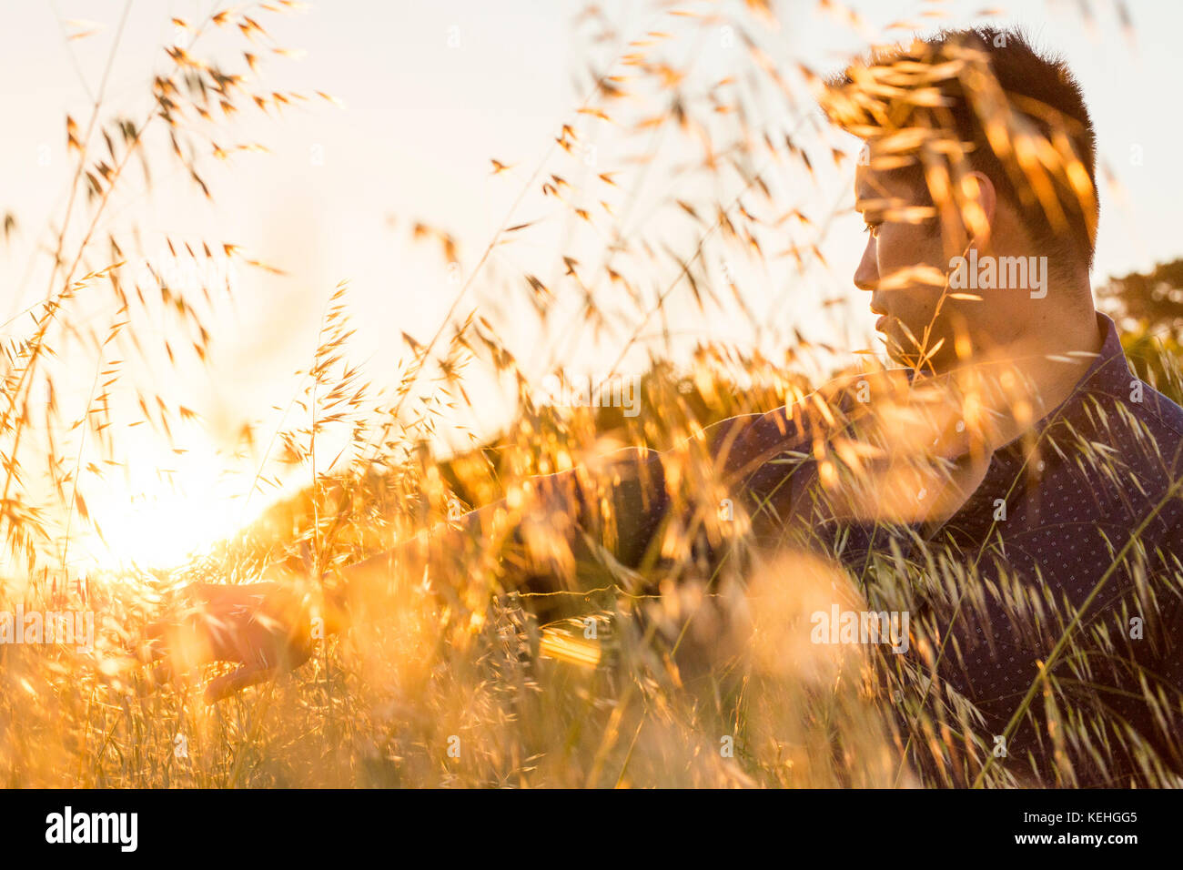 Un sérieux Chinois assis dans un champ de blé Banque D'Images