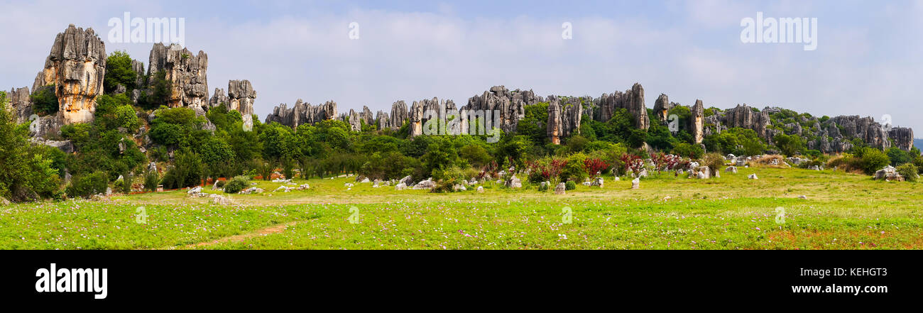 Vue panoramique de la forêt de pierre de Shilin pinacles calcaires - Yunnan, Chine Banque D'Images