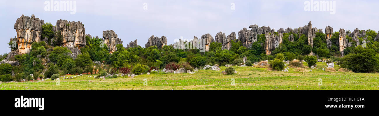 Vue panoramique de la forêt de pierre de Shilin pinacles calcaires - Yunnan, Chine Banque D'Images