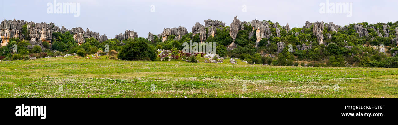 Vue panoramique de la forêt de pierre de Shilin pinacles calcaires - Yunnan, Chine Banque D'Images