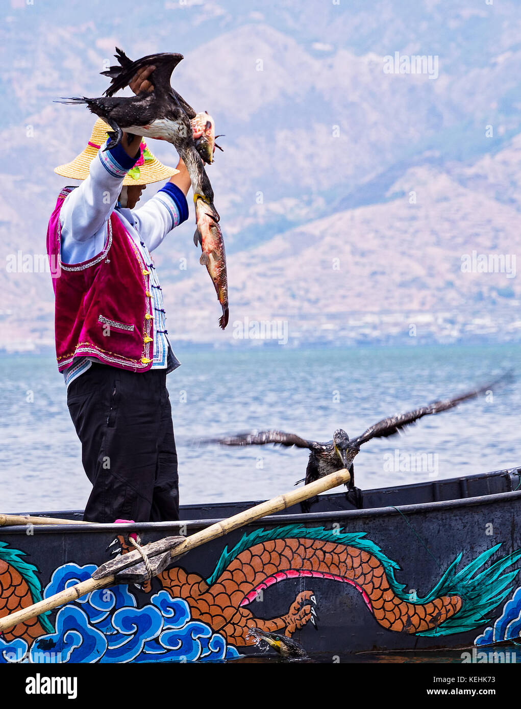 Chinese man fishing avec cormorans Oiseaux dans le Lac Erhai - Yunnan, Chine Banque D'Images
