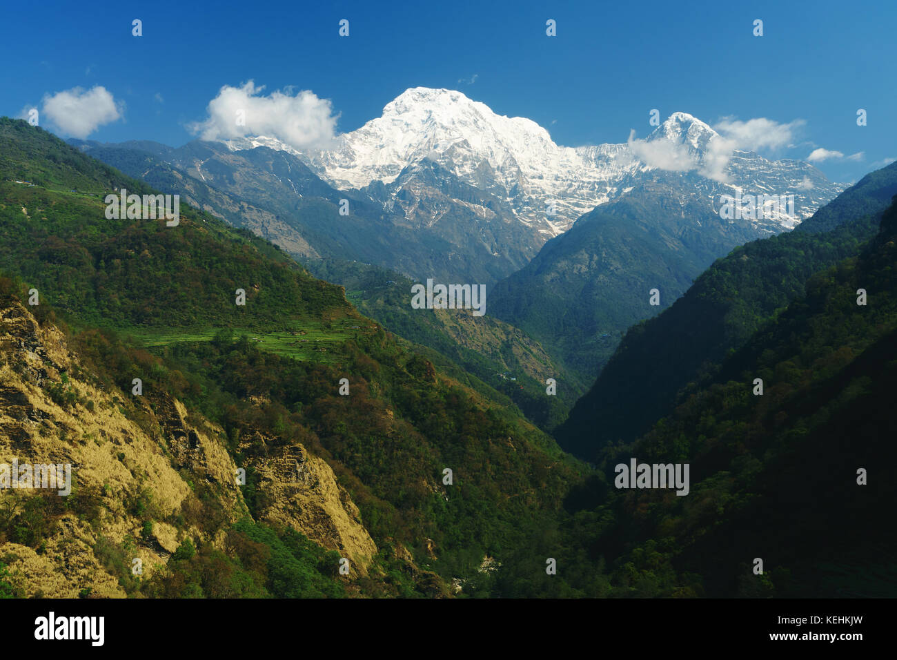 Annapurna Sud vu du sentier de randonnée entre et Landruk Ghandruk, Modi Khola, Népal. Banque D'Images