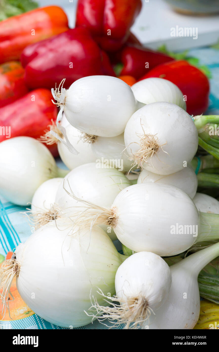 Oignons salade en vente dans le marché alimentaire à Santander, dans le Nord de l'Espagne Banque D'Images
