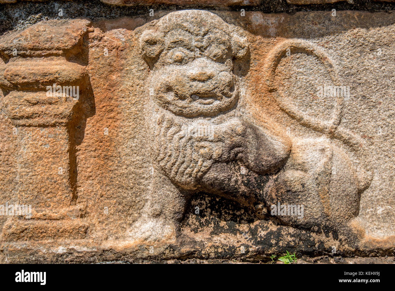 Close-up of stone lion relief de Polonnaruwa au Sri Lanka Banque D'Images