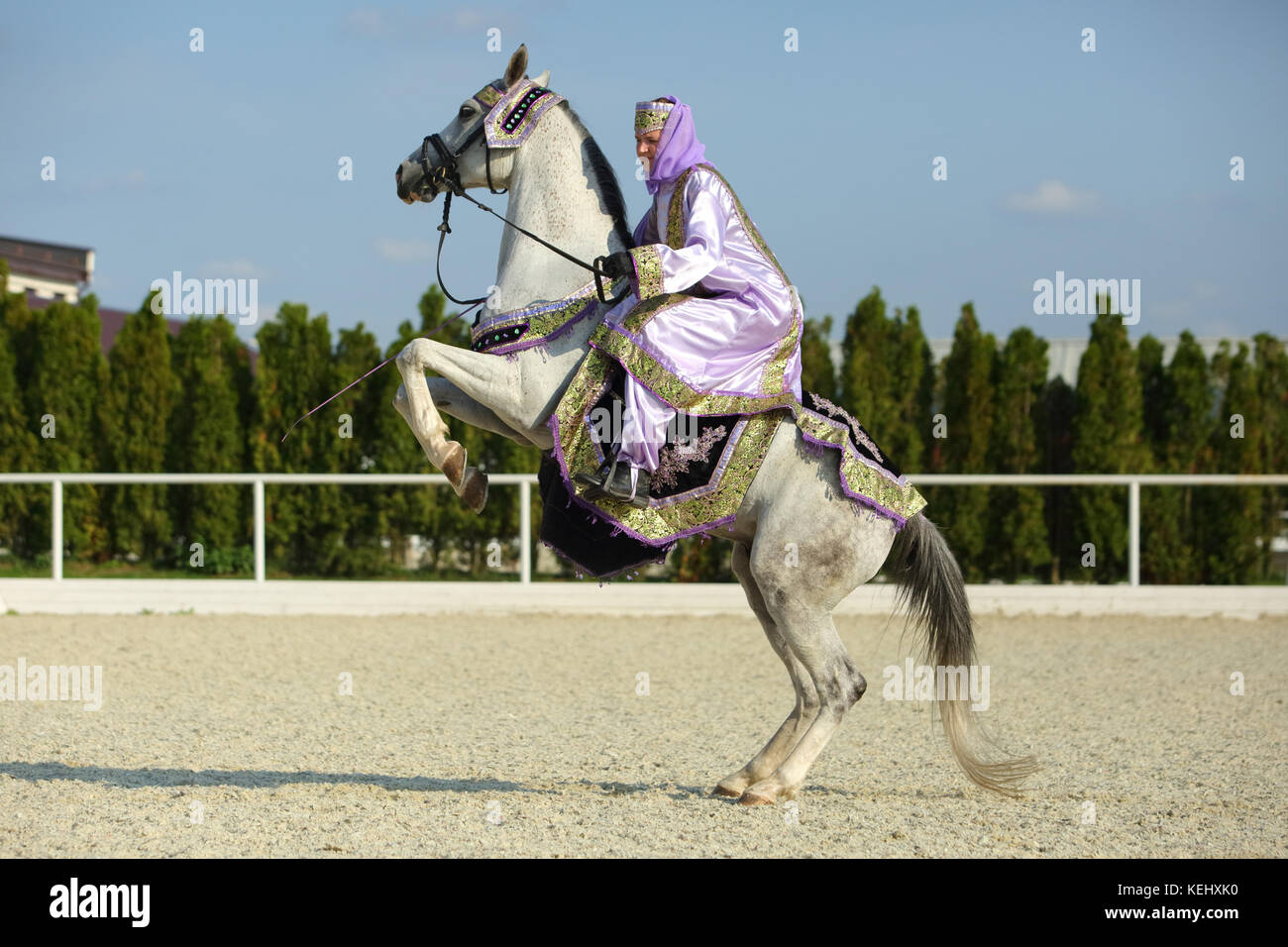 Cavalière dans les vêtements orientaux sur l'arrière d'un cheval arabe d'élevage Banque D'Images