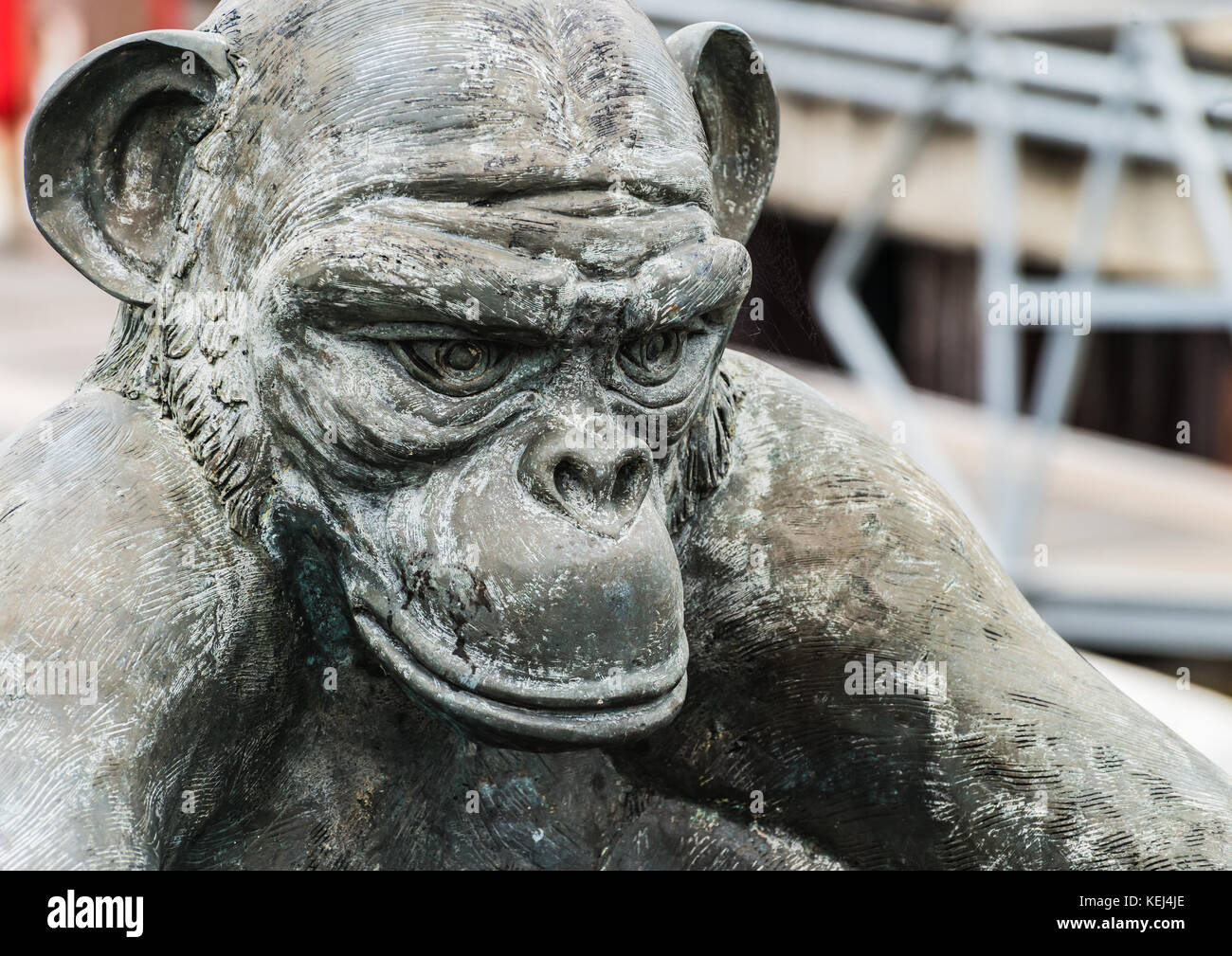 Un coup d'un puits, sculpté comme un singe, à Hartlepool marina, UK. Banque D'Images