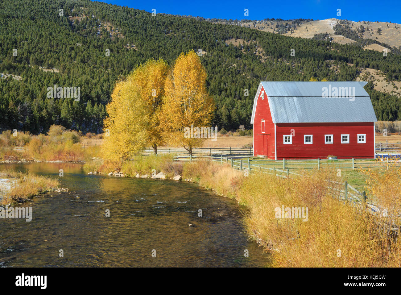 Grange rouge et couleurs d'automne le long de la rivière près de Ruby, l'aulne montana Banque D'Images