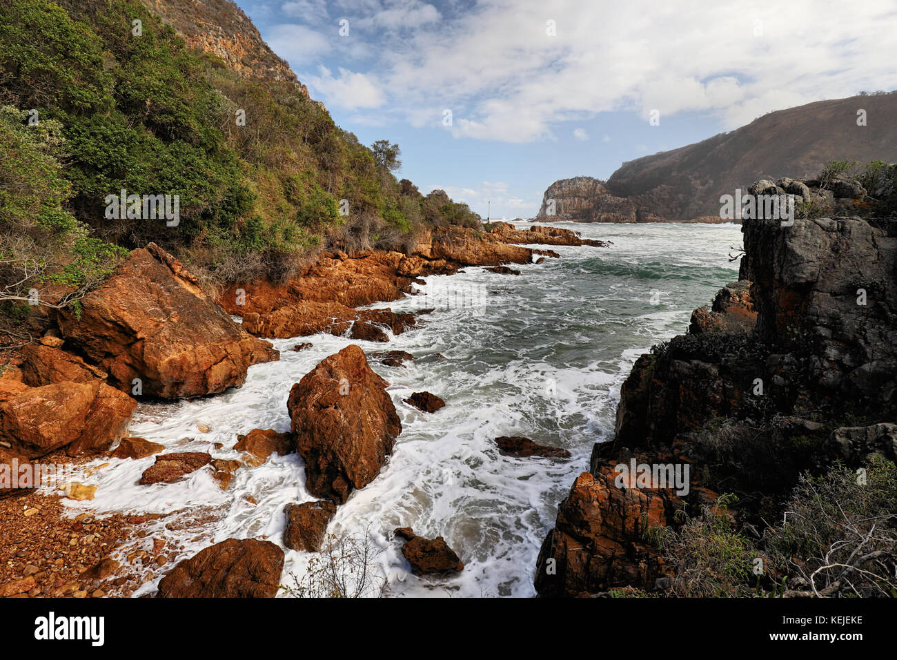 Côte Rocheuse près les chefs knysna, afrique du sud Banque D'Images