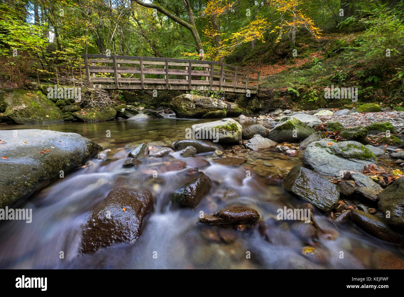 Ghyll Stock Beck en automne, près de Ambleside, Lake District, Cumbria, England, UK Banque D'Images