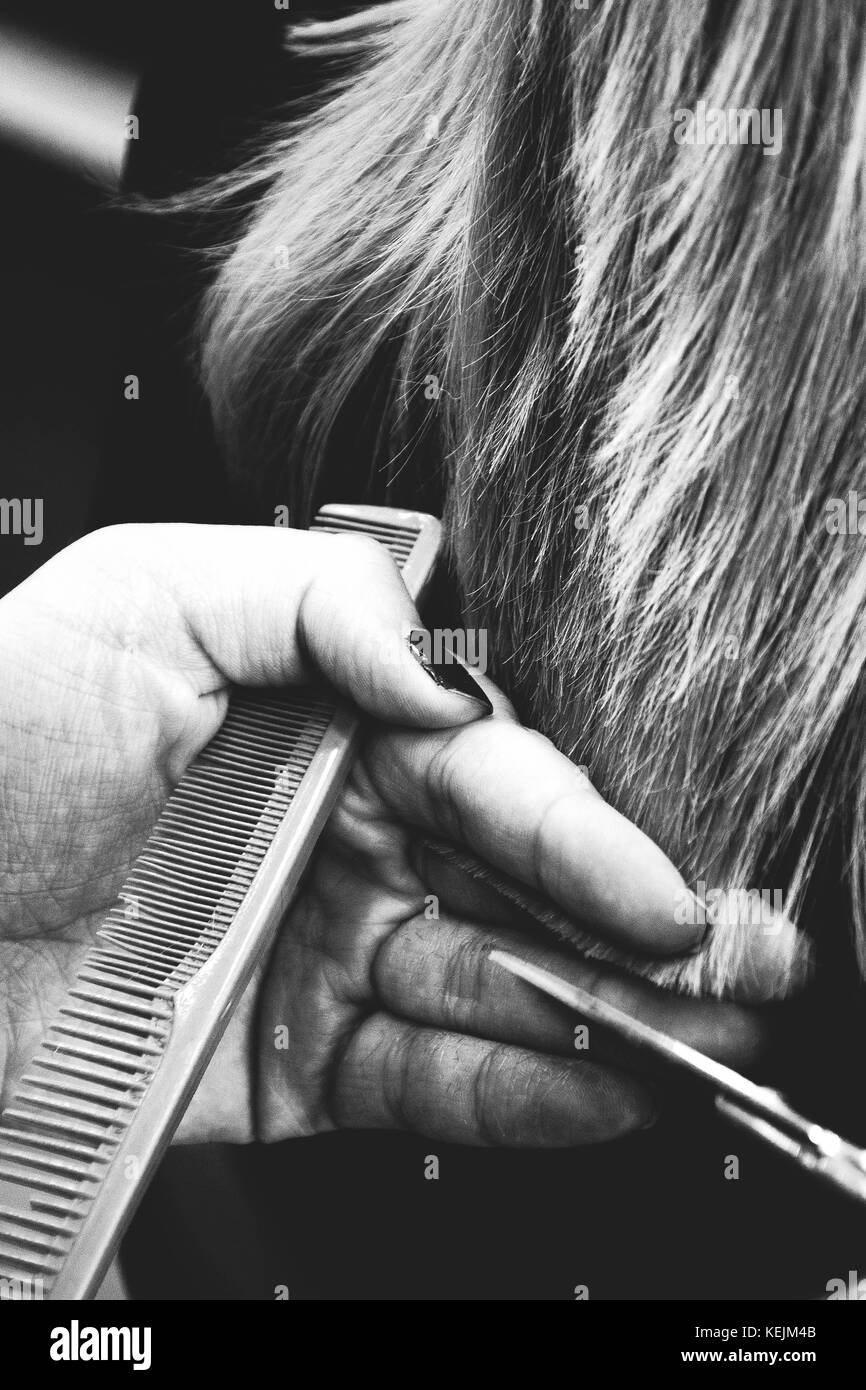 Coupe de cheveux coiffeur Clients à Salon, Glasgow. Banque D'Images