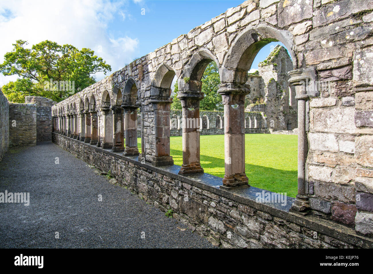 Ruines de l'abbaye de Jerpoint, Kilkenny, Irlande, une abbaye cistercienne médiévale, détruit lors de la dissolution des monastères sous Henri le huit Banque D'Images