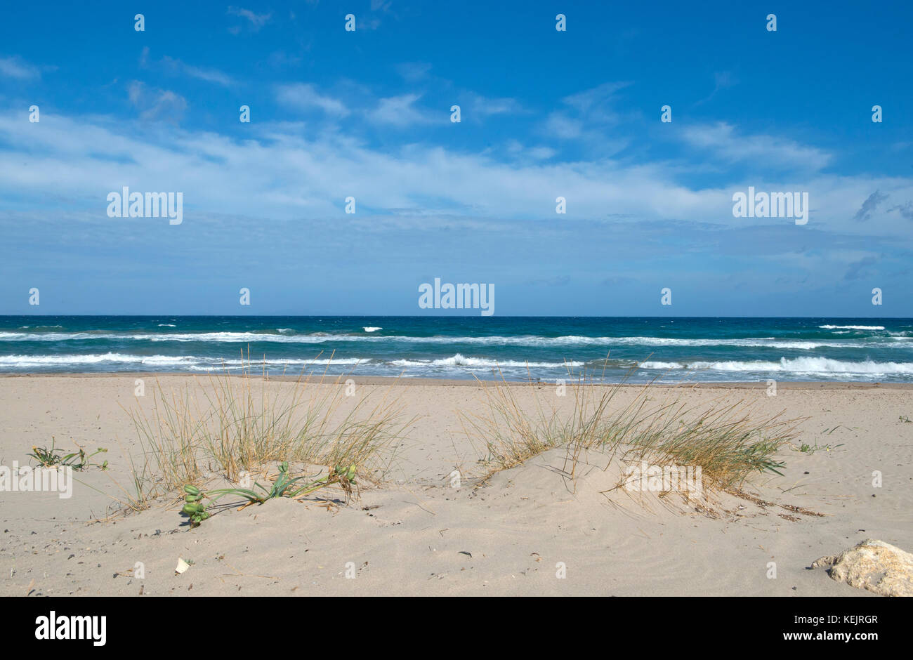 L'homme en contre-jour avec un chien sur une plage de Porto Ferro, Sardaigne Banque D'Images