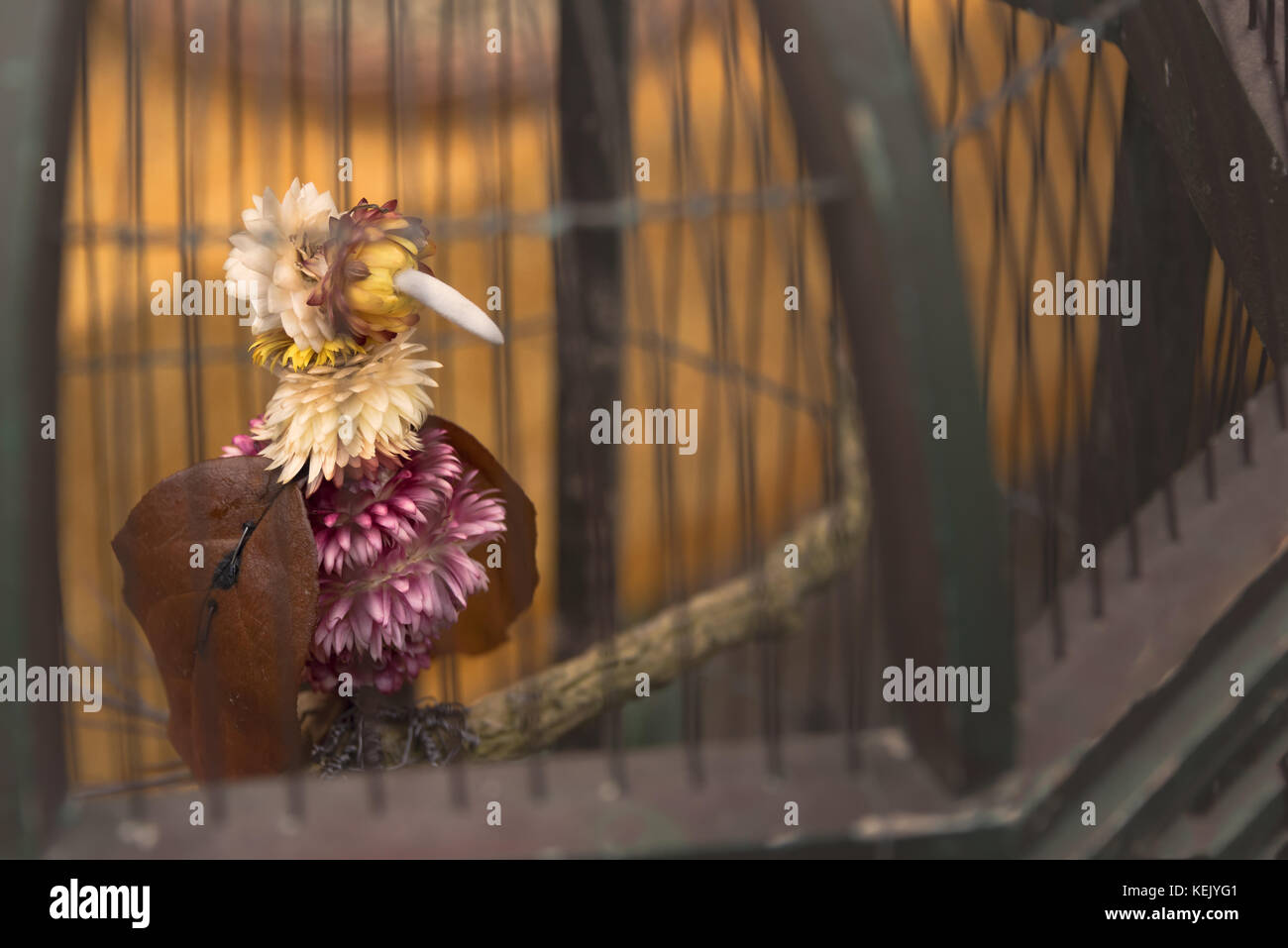 Oiseau floral dans une cage fermée à Kew Gardens à Londres Banque D'Images