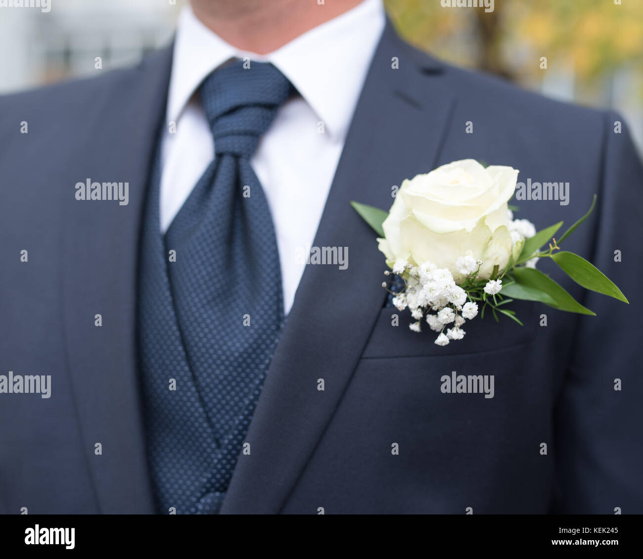 Symbolisch, symbolbild bräutigam, groom. blauer anzug, blaue krawatte, weißes hemd, blaue weste, boutonnière, ansteckblume für den bräutigam . , (Pho Banque D'Images