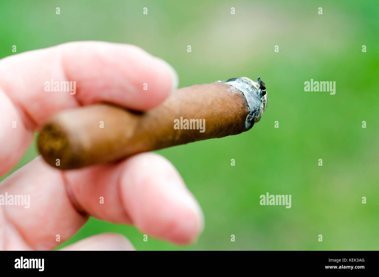 Photo en gros plan d'une main avec les doigts tenant un cigare avec gravure avant-plan flou Banque D'Images