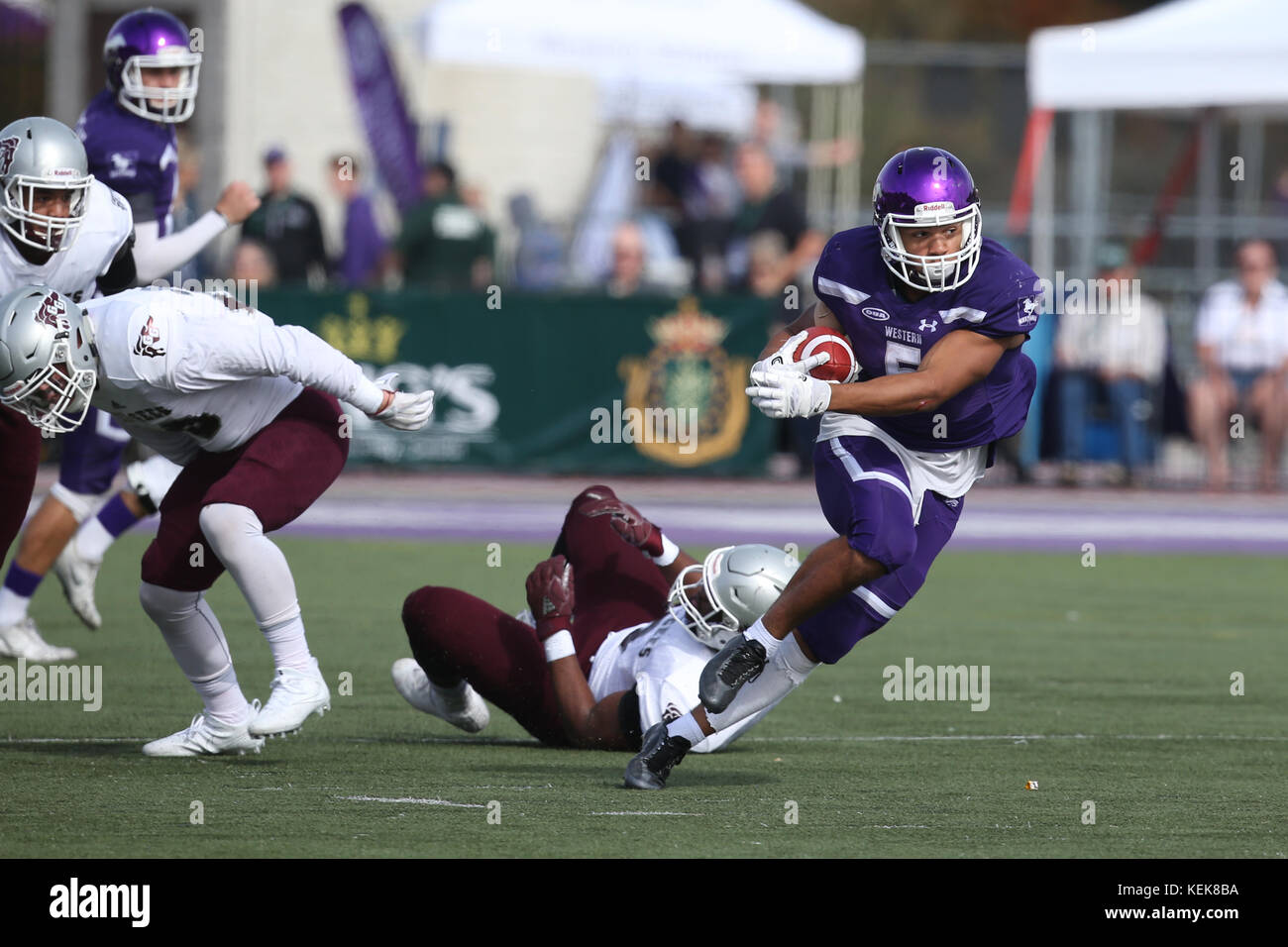 À London, au Canada. 21 Oct, 2017. 21e octobre 2017, London, Ontario, Canada les Mustangs de l'ouest d'améliorer leur dossier à 8-0 avec une grande victoire de 63-10 des Gee-Gees d'Ottawa. Présence dans certains des grands anciens de l'Ouest a pris le champ et ont été introduites avant le match, les fans cheer tous les 7 de la Mustang touchés dans le souffler. Prochain match des westerns est à l'Ontario University Athletics Semi le Nov 4 2017. Crédit : Luc Durda/Alamy Live News Banque D'Images