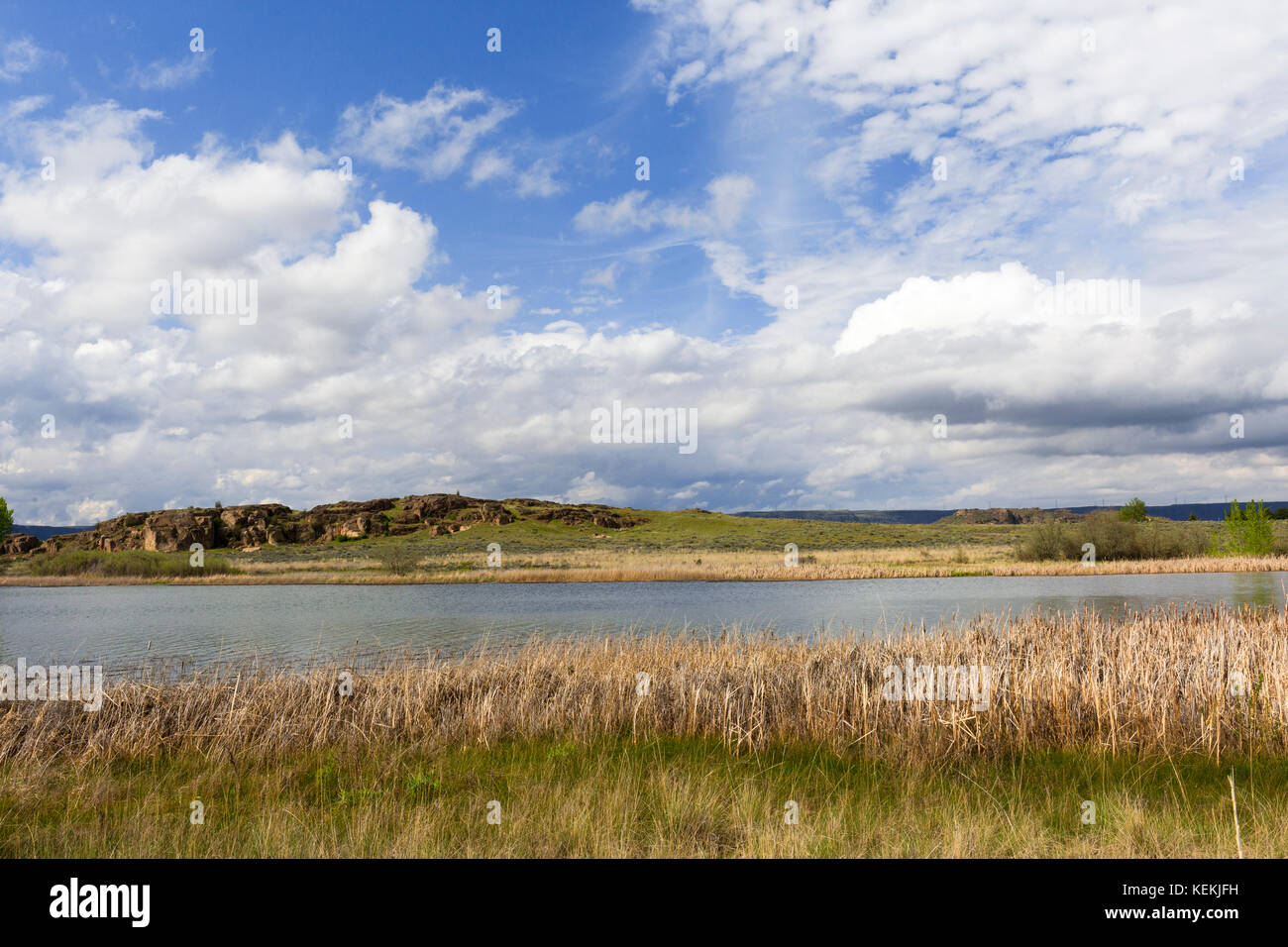 Lac de banques, un réservoir dans l'Est de l'état de Washington le long du corridor coulee Scenic Byway. Une partie de la grand coulee le long du fleuve Columbia Banque D'Images