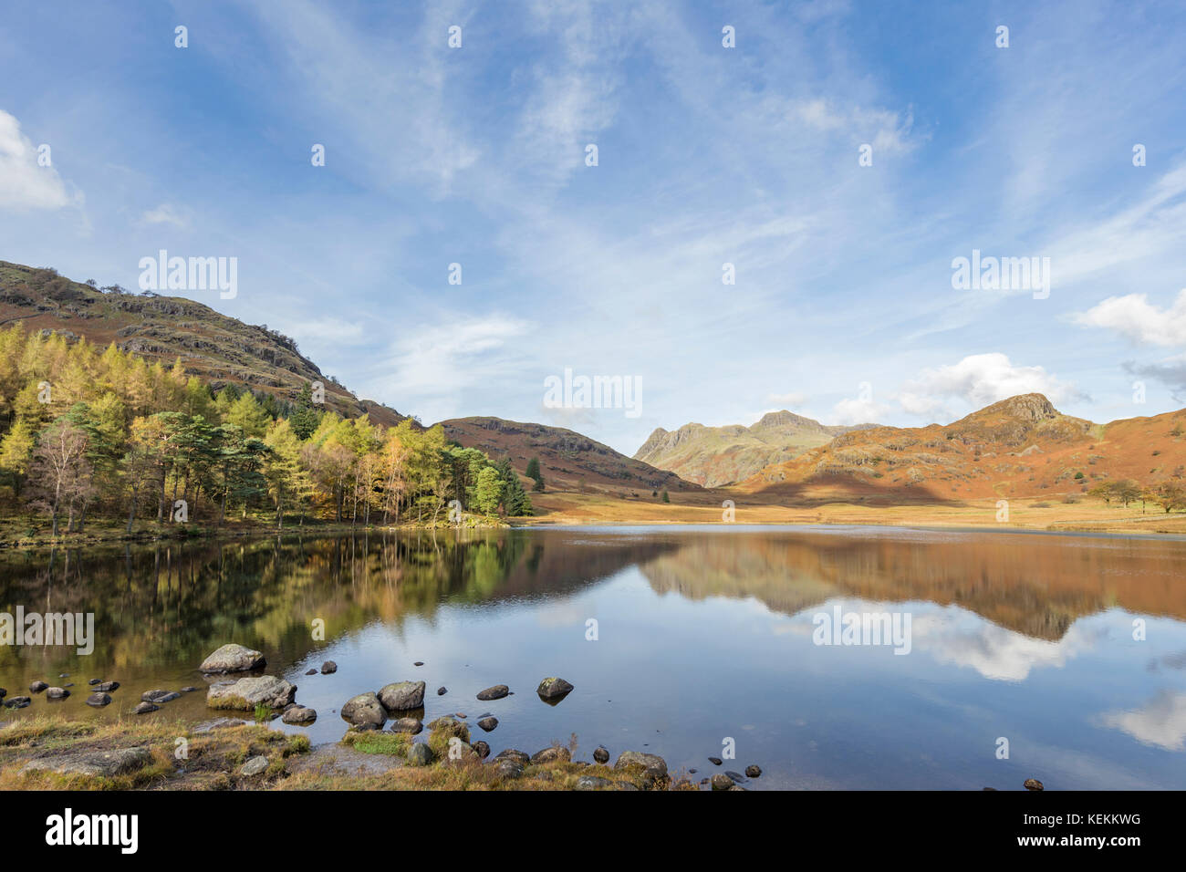 L'automne à Blea Tarn, Little Langdale, Parc National de Lake District, Cumbria, England, UK Banque D'Images