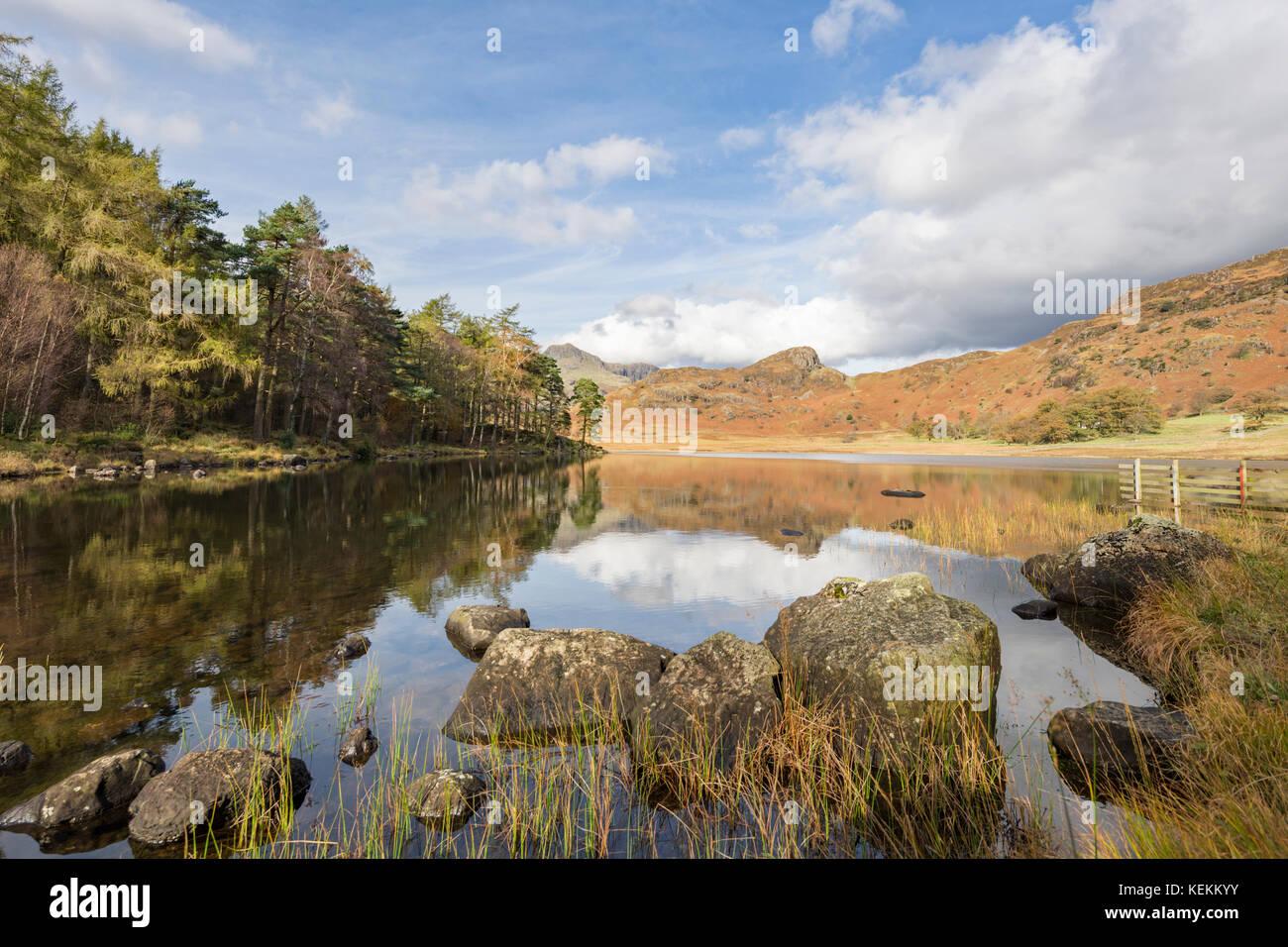 L'automne à Blea Tarn, Little Langdale, Parc National de Lake District, Cumbria, England, UK Banque D'Images