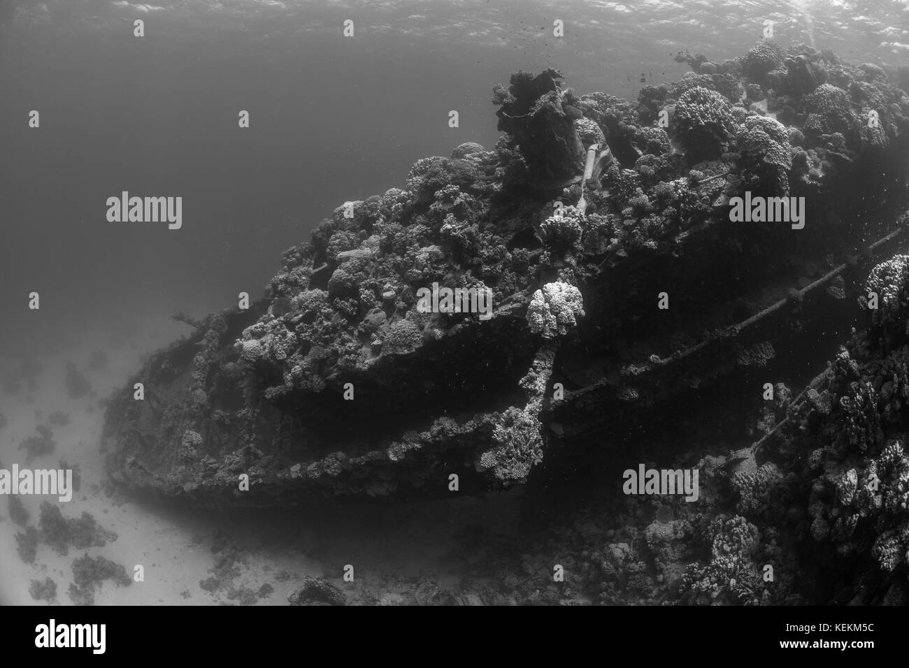 L'épave de bateau remorqueur tien sien, Fury Shoal, Red Sea, Egypt Banque D'Images