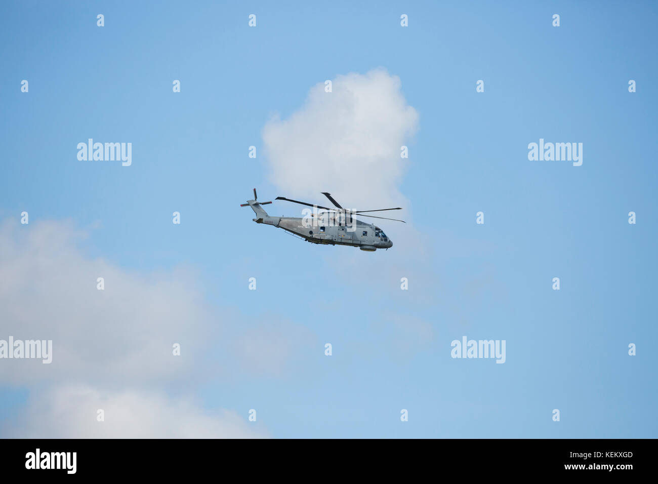 Fleet Air Arm Agusta Westland Merlin HM1, hélicoptère RNAS Culdrose en vol Banque D'Images