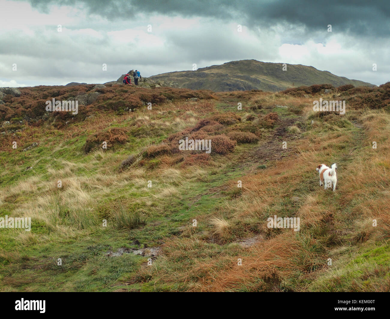 Shap dodd dans penrith au-dessus de ullswater, parc national de lake District, Cumbria, Angleterre Banque D'Images