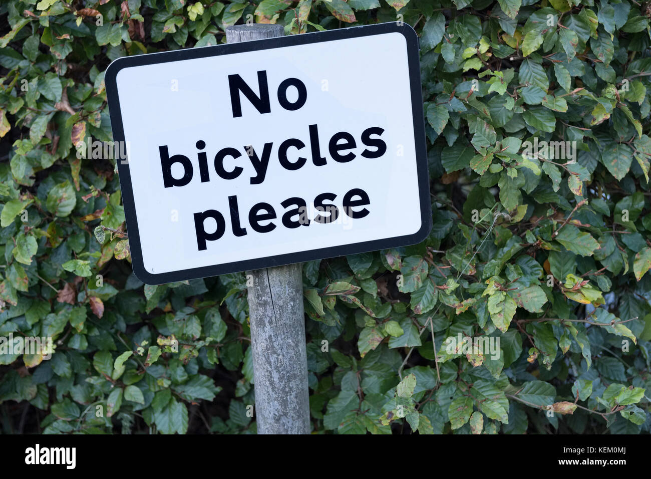 Pas de bicyclettes Veuillez ouvrir la haie bush green angleterre uk Banque D'Images