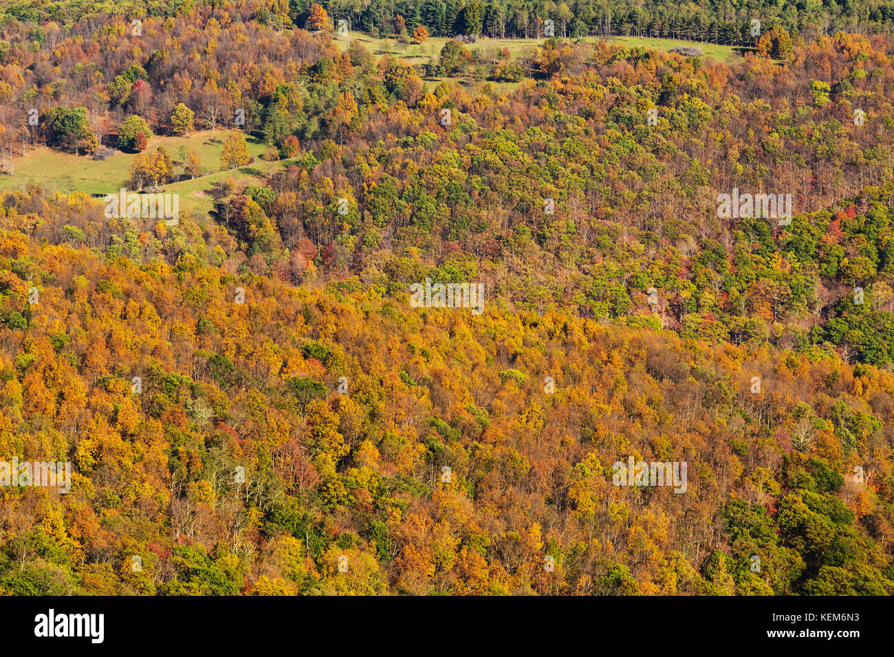 Scène d'automne dans la vallée de Shenandoah Banque D'Images