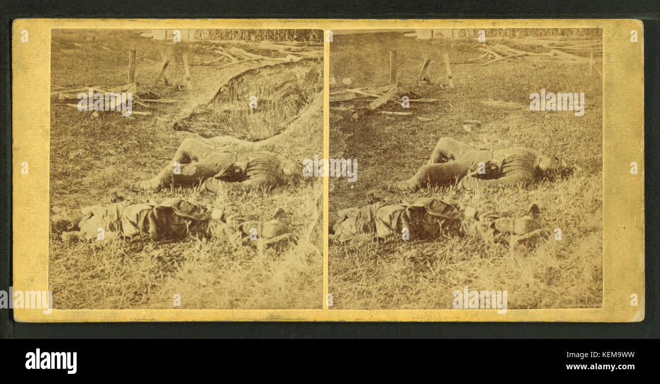 Vue sur le champ de bataille d'Antietam près de Sherrick's house, où le 79e New York bénévoles se sont battus après avoir traversé le ruisseau. Groupe de Confédérés morts, par Alexander Gardner, 1882, 1821 Banque D'Images