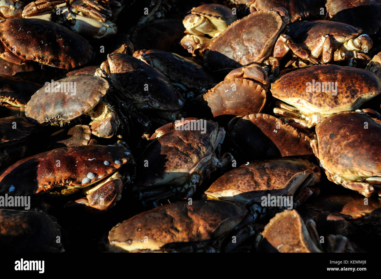 Un chalutier français amarré dans le port d'Ullapool à Loch Broom.C'est la cargaison de crabes pêchés de la mer du nord.Wester Ross, Écosse. Banque D'Images