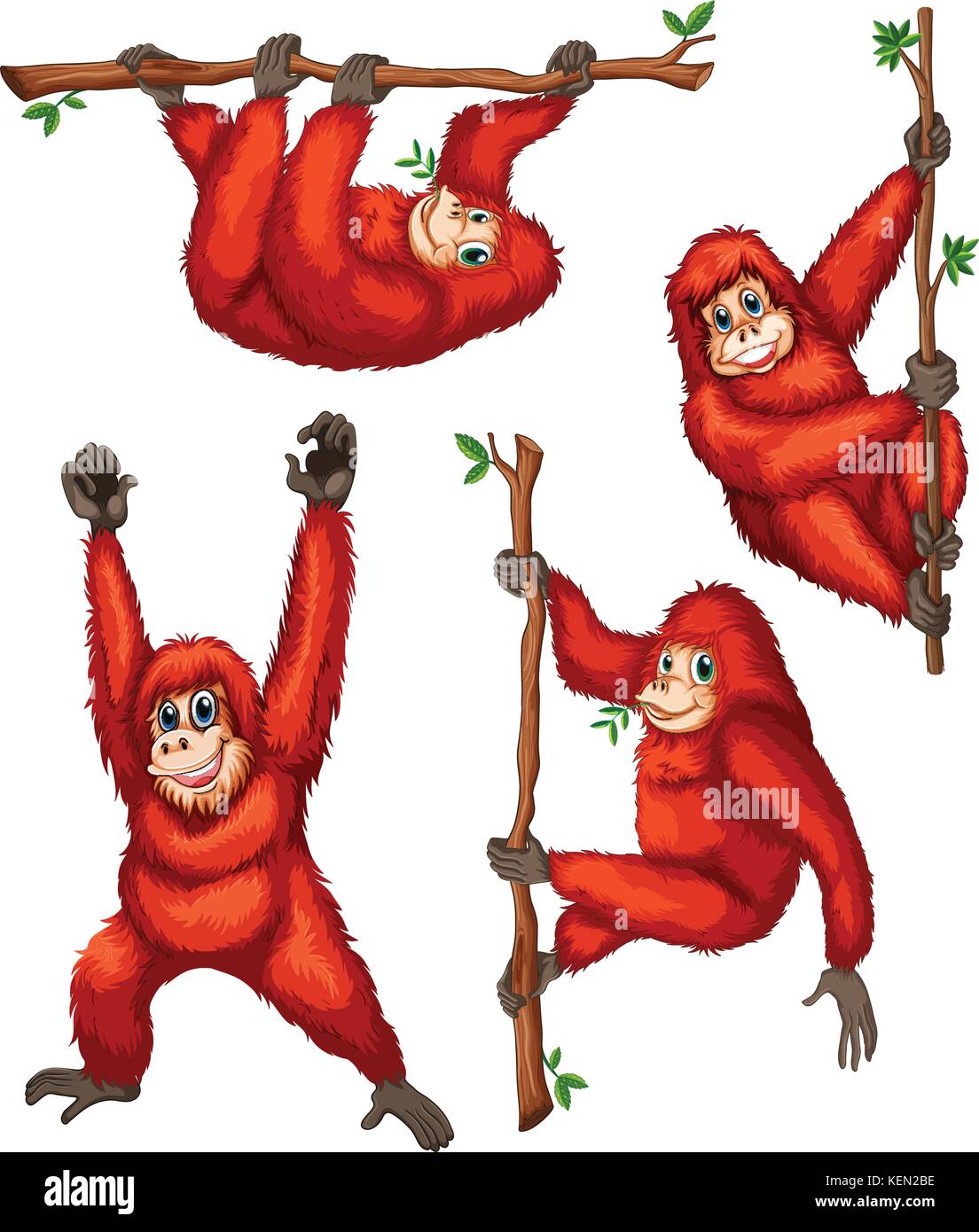 Illustration de l'orang-outang accroché sur des vignes Illustration de Vecteur