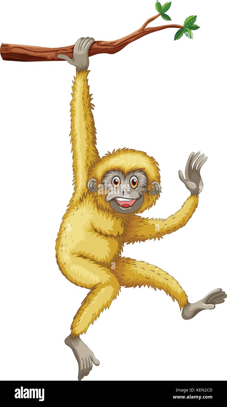 Illustration d'un gibbon accroché sur une branche Illustration de Vecteur