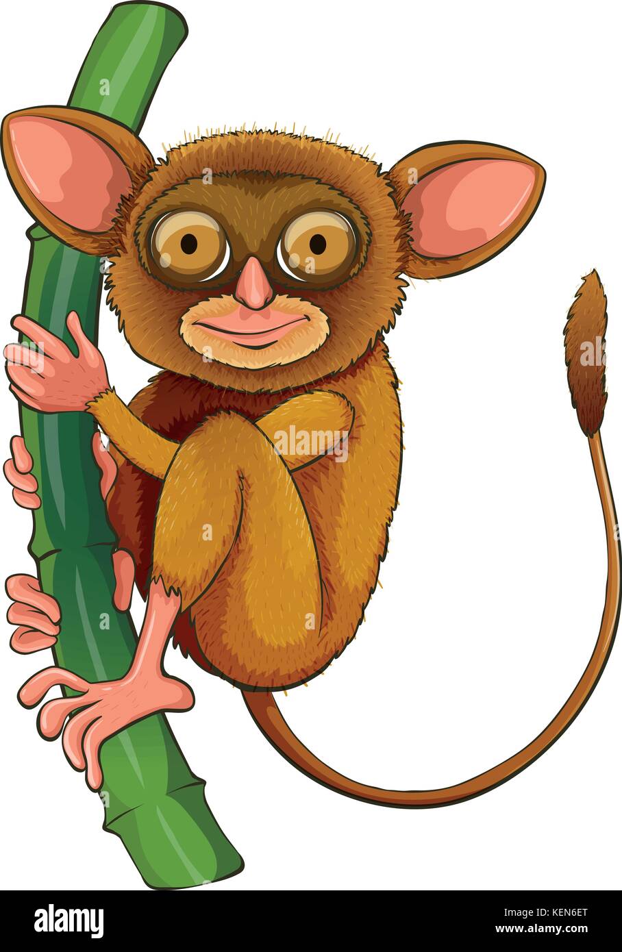 Illustration d'un tarsier close up Illustration de Vecteur