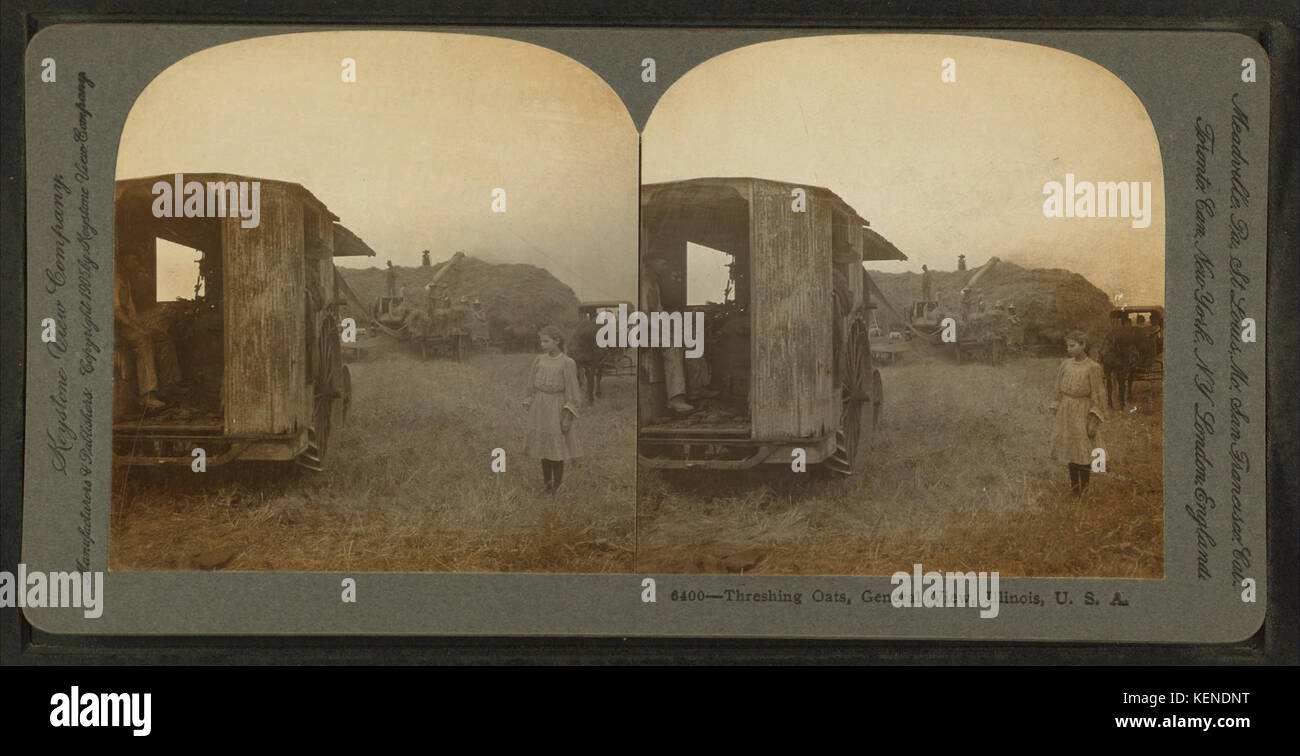 Cette photographie capture une vue générale du battage de l'avoine dans l'Illinois, aux États-Unis, montrant les processus agricoles du début du XXe siècle. L'image souligne l'importance de l'agriculture dans les régions rurales d'Amérique et la nature intensive de la récolte des cultures pendant cette période. Banque D'Images