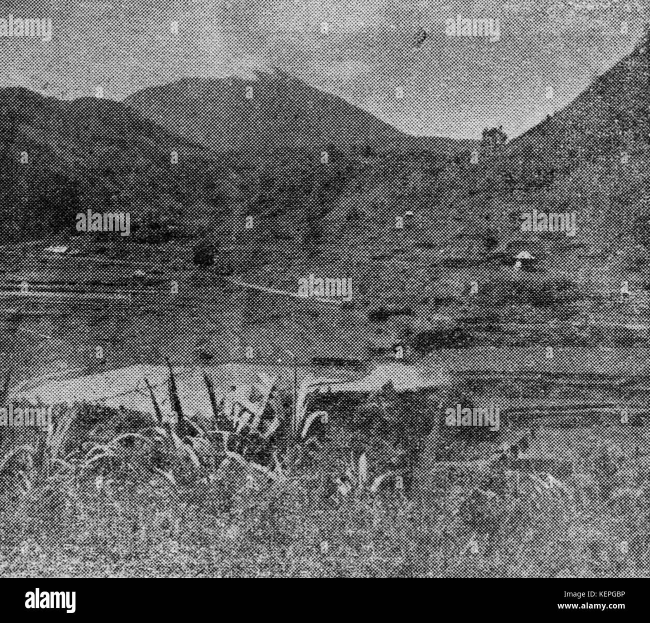 Cette image capture les champs agricoles fertiles de Sumatera Tengah en Indonésie, reflétant le paysage agricole et les pratiques agricoles de la région. Banque D'Images