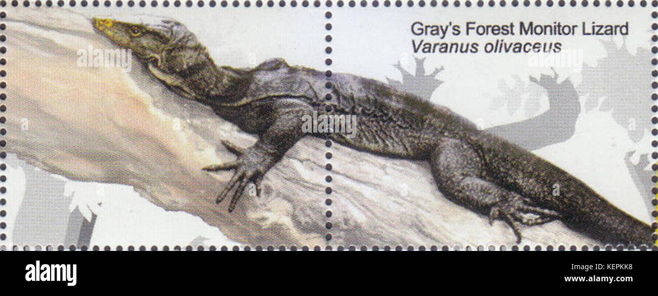 Varanus olivaceus 2017 stamp des Philippines Banque D'Images