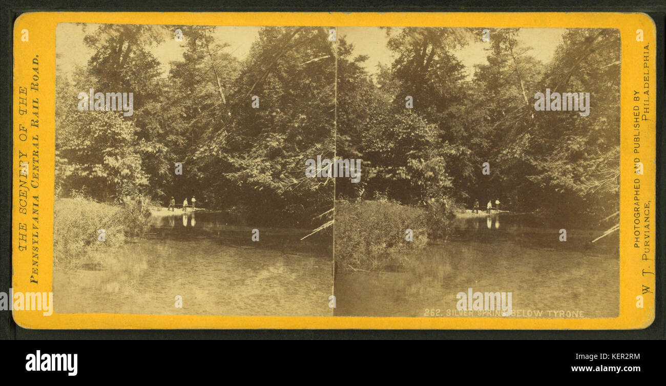 Silver Spring, ci-dessous de Tyrone, par Purviance, W. T. (William T.) Banque D'Images