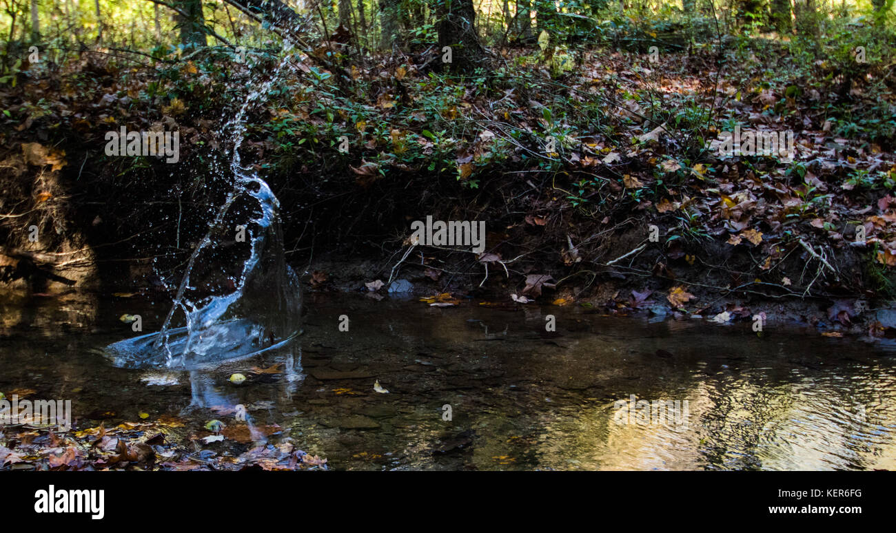 Walnut Street park off exploration chemin Banque D'Images