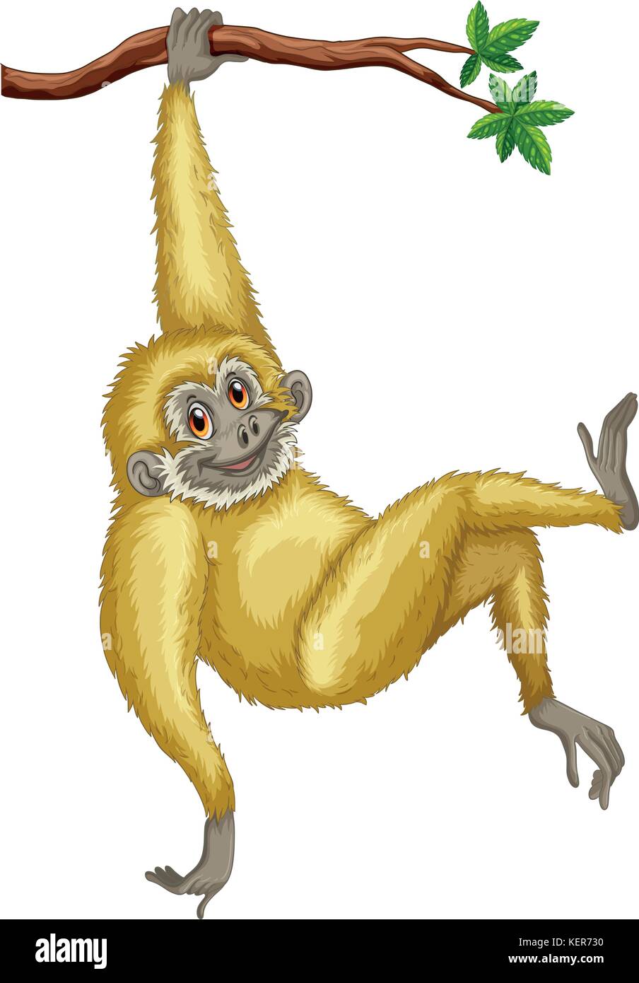 Illustration d'un singe Illustration de Vecteur