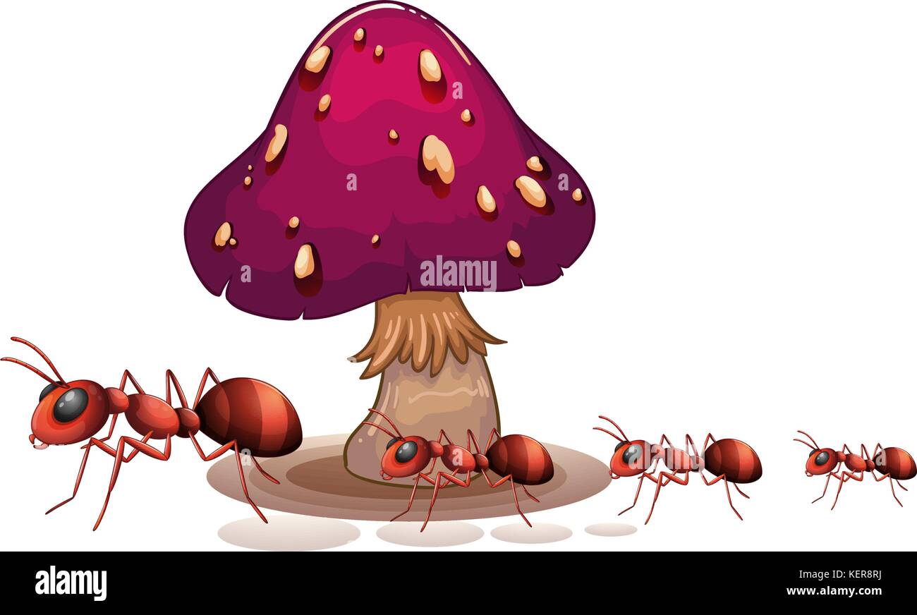 Illustration d'une colonie de fourmis près de la mushroom on a white background Illustration de Vecteur Illustration d'une colonie de fourmis près de la mushroom on a white background Illustration de Vecteur