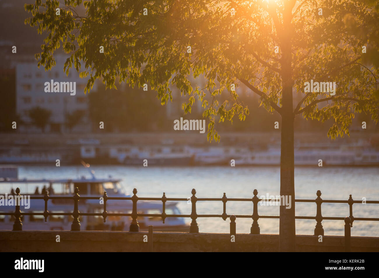 Budapest, Hongrie - Magnifique ambiance d'automne dans le centre de Budapest au coucher du soleil avec arbre, Danube et bateaux touristiques Banque D'Images