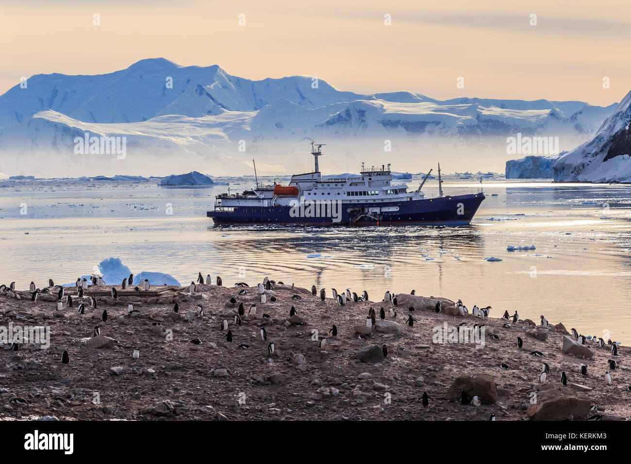 Bateau de croisière antarctique dans le lagon entre les icebergs et manchots colonie sur la côte rocheuse de la baie de Neco, Antarctique Banque D'Images