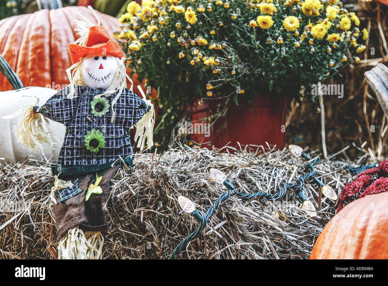 Libre d'une décoration d'halloween avec des citrouilles, chiffon épouvantail, hay, lumières et un pot de fleur. Banque D'Images