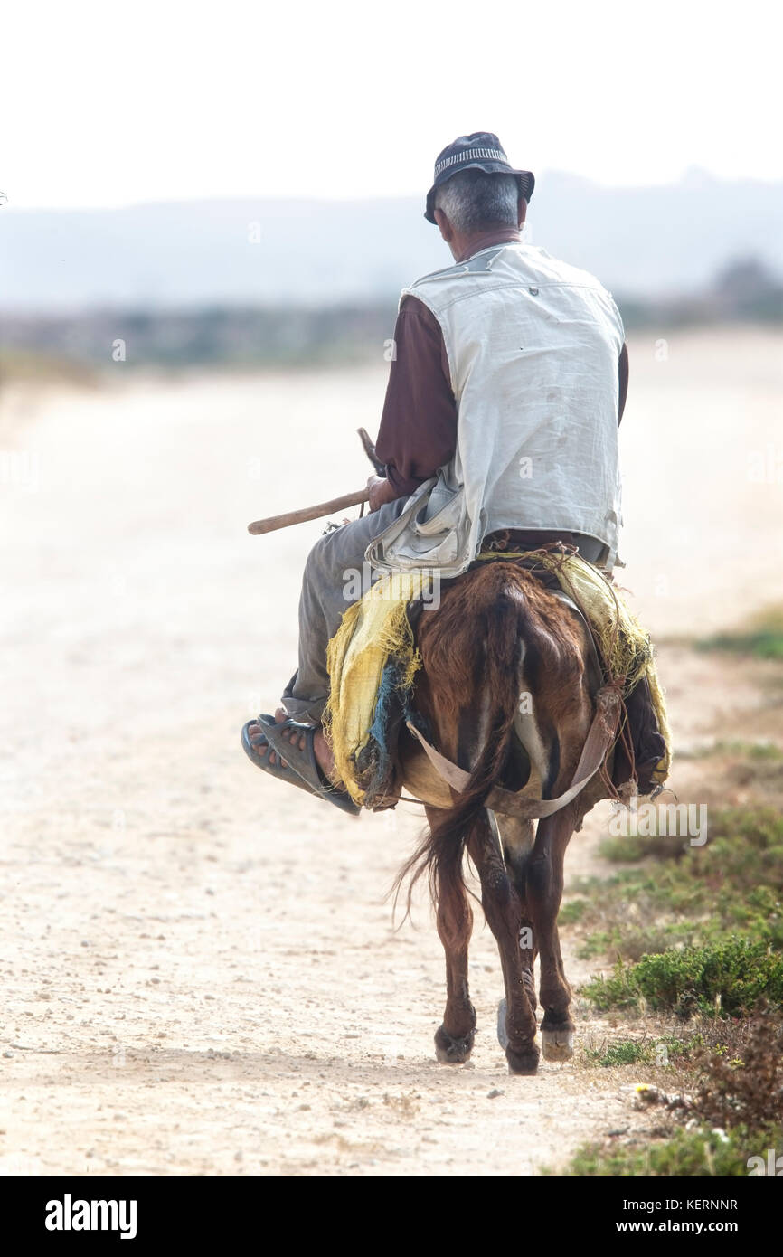 Vieil homme un âne le long d'une piste, oualidia, Maroc. Banque D'Images