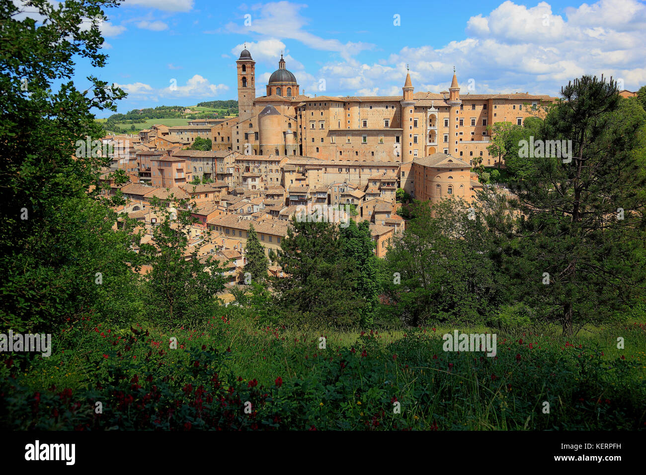 Voir d'Urbino, avec le palais ducal, le palais ducal et la cathédrale, Marches, Italie Banque D'Images